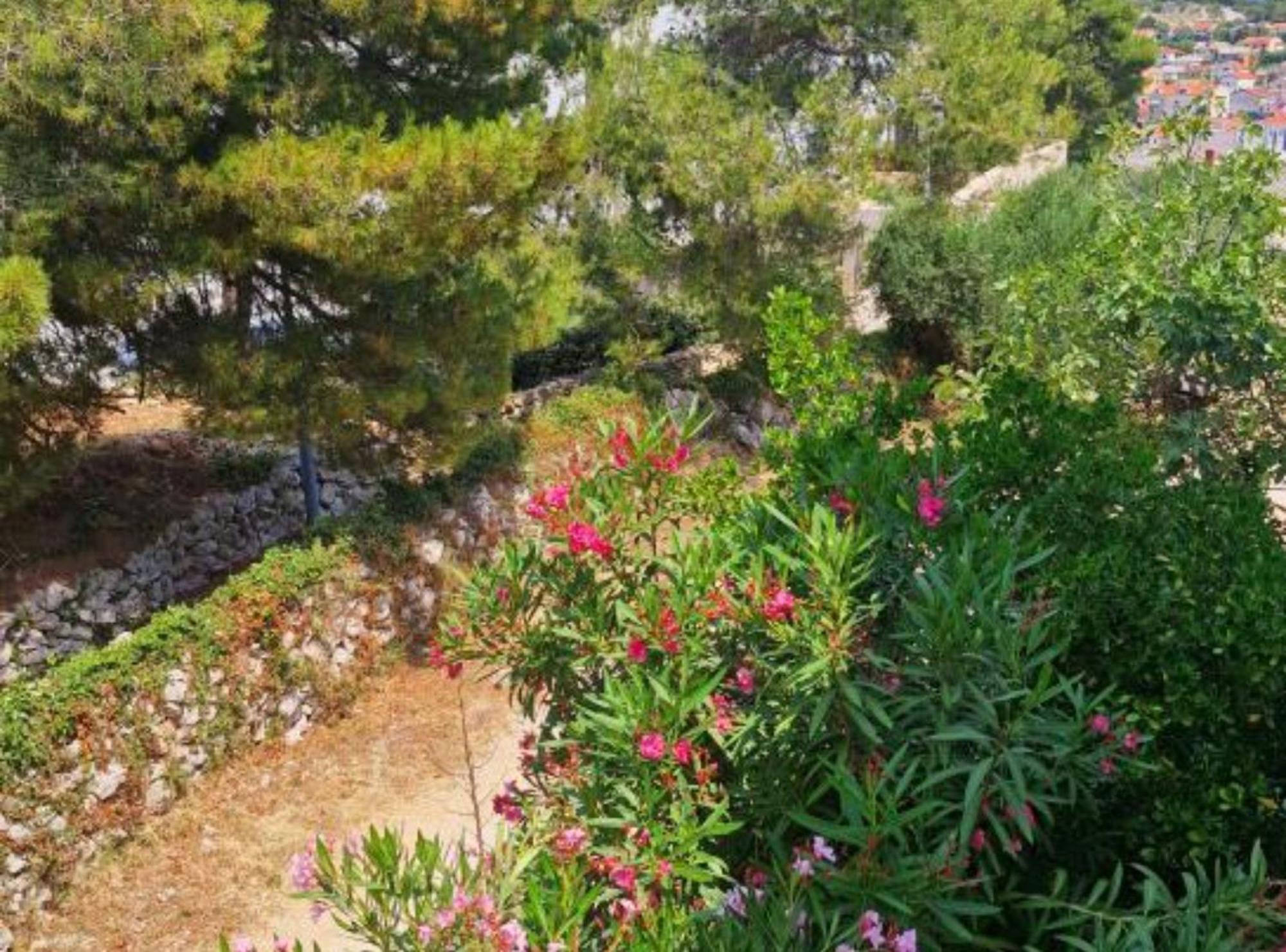Pansion Belvedere Mali Losinj Bagian luar foto